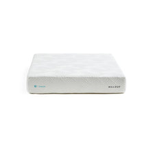 Load image into Gallery viewer, Malouf 11&quot; Embark Foam Gel CoolSync Mattress
